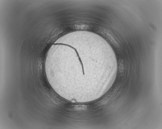 X0000115540363200912041016