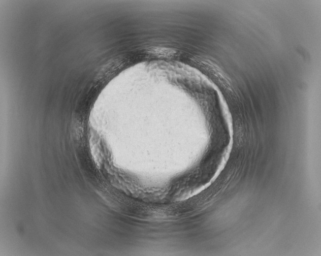 X0000115540365200912041016