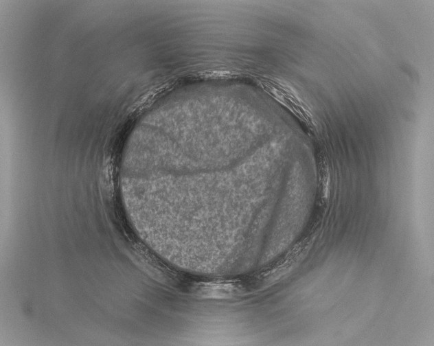 X0000115540366200912041016