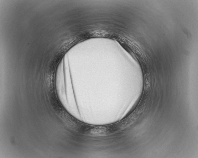 X0000115540369200912041016