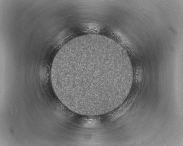 X0000115540370200912041016