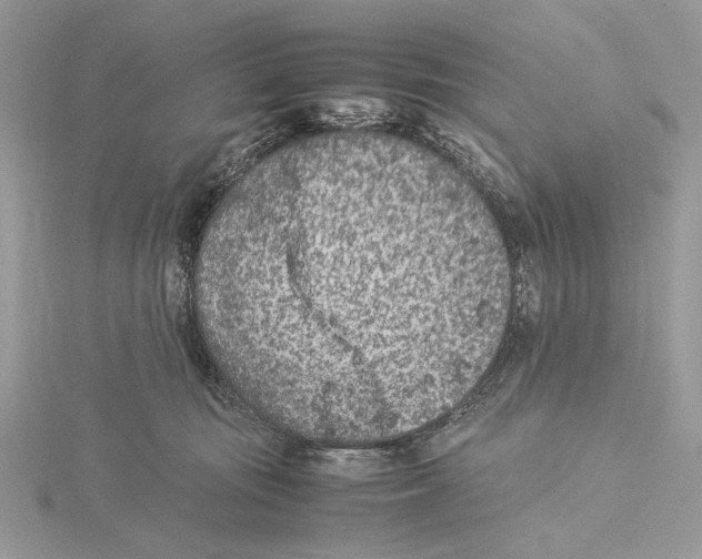 X0000115540371200912041016