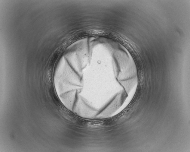 X0000115540373200912041016