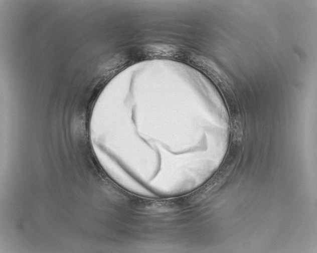 X0000115540377200912041016