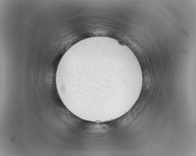 X0000115540379200912041016