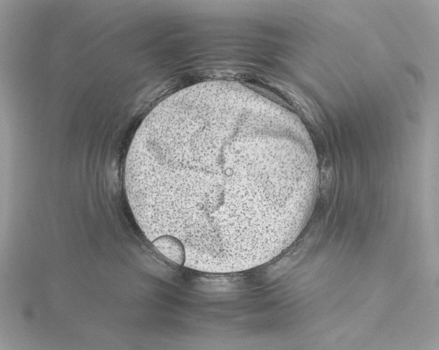 X0000115540381200912041016