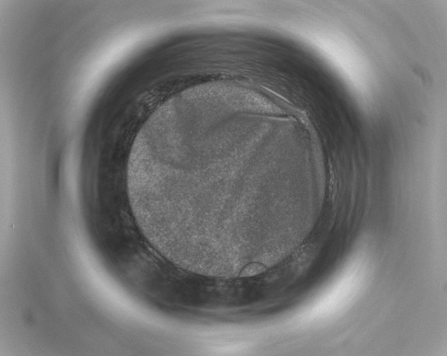 X0000115540383200912041016