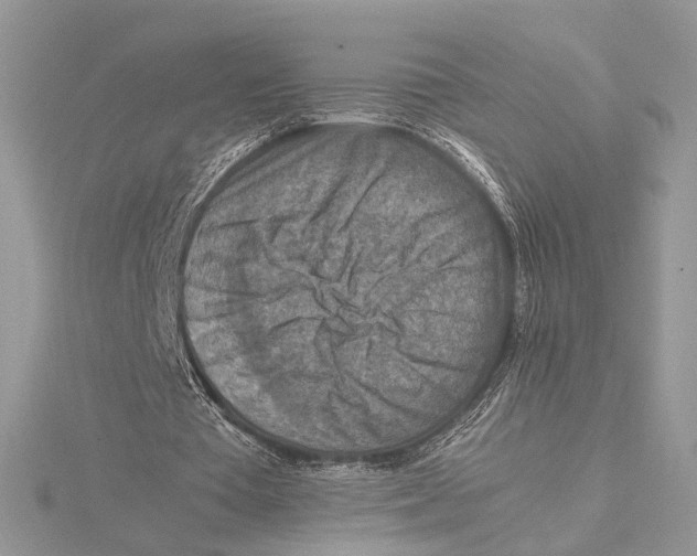 X0000115540385200912041015