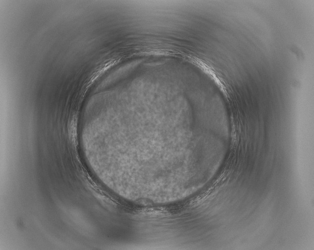 X0000115540386200912041015