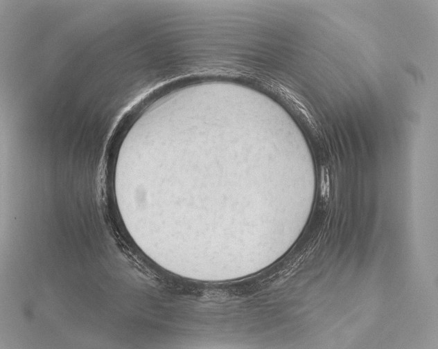 X0000115540388200912041015