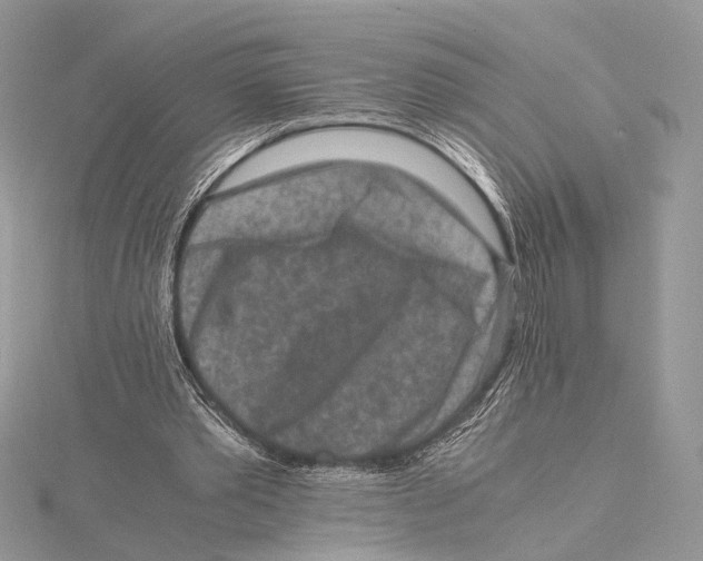 X0000115540389200912041015