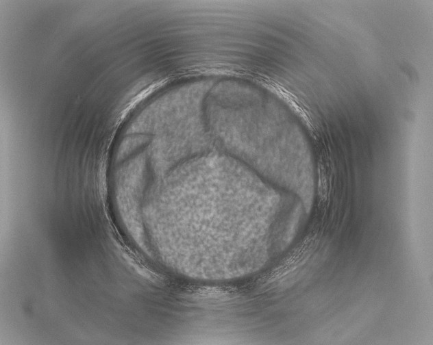 X0000115540390200912041015