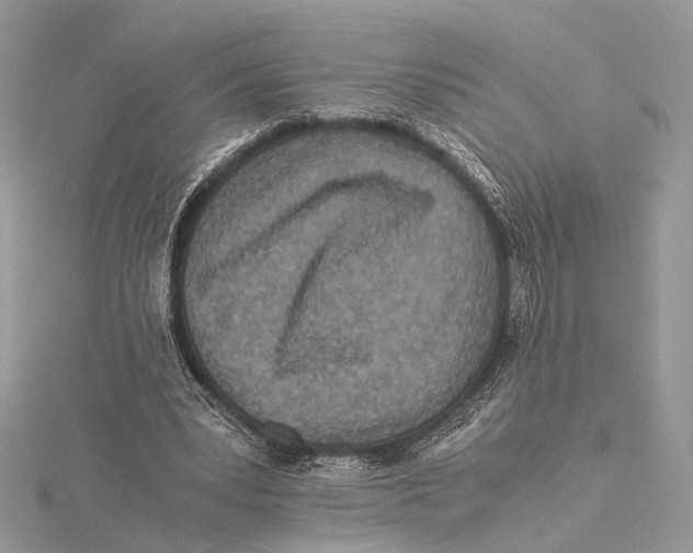 X0000115540391200912041015