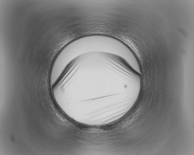 X0000115540393200912041015