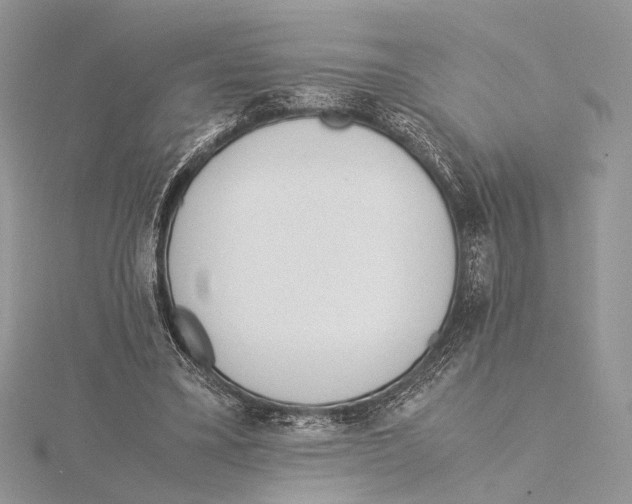 X0000115540395200912041015