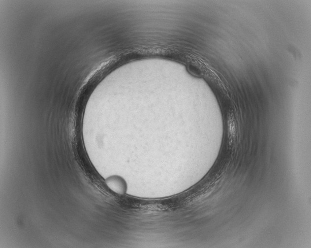 X0000115540396200912041015