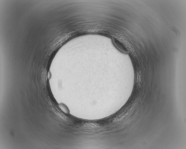 X0000115540397200912041015