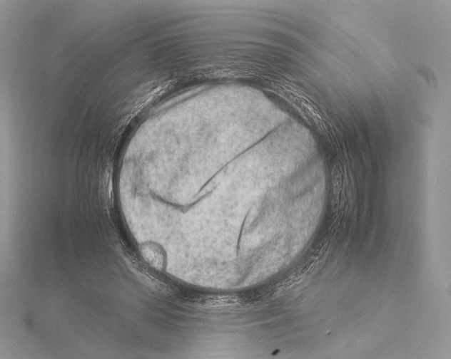 X0000115540398200912041015