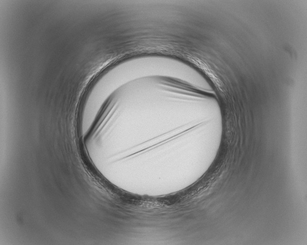 X0000115540399200912041015