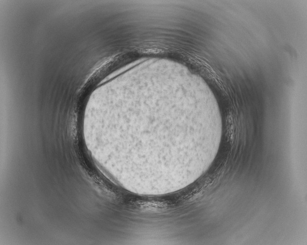 X0000115540400200912041015