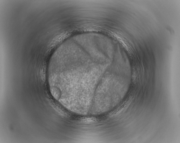 X0000115540402200912041015