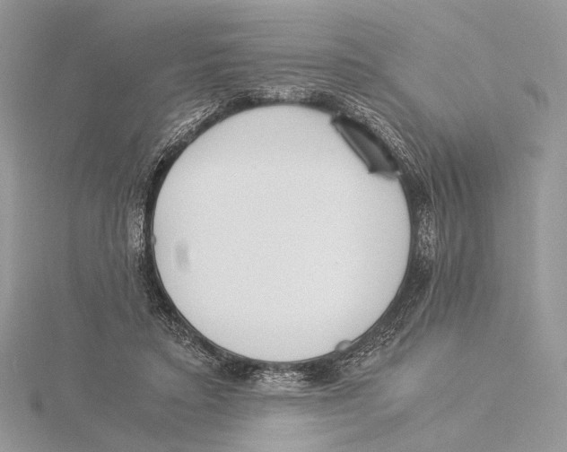 X0000115540403200912041015