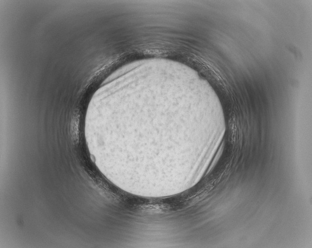 X0000115540404200912041015