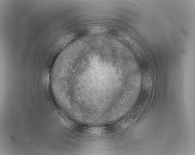 X0000115540405200912041015