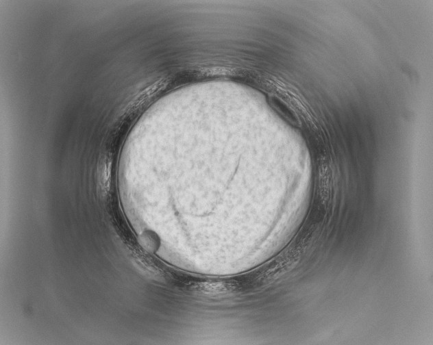 X0000115540406200912041015