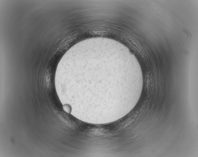 X0000115540408200912041015