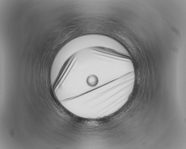 X0000115540409200912041015