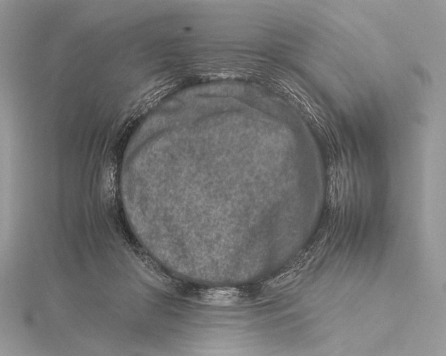 X0000115540410200912041015