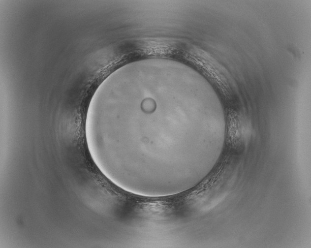 X0000115540411200912041015