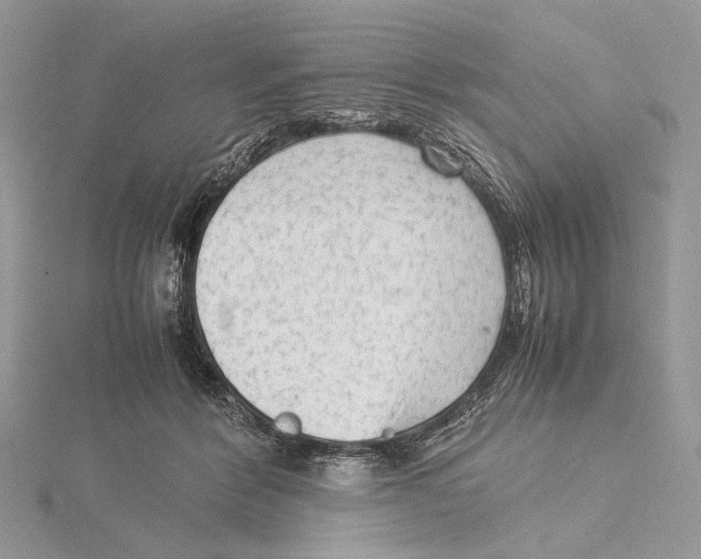 X0000115540412200912041015