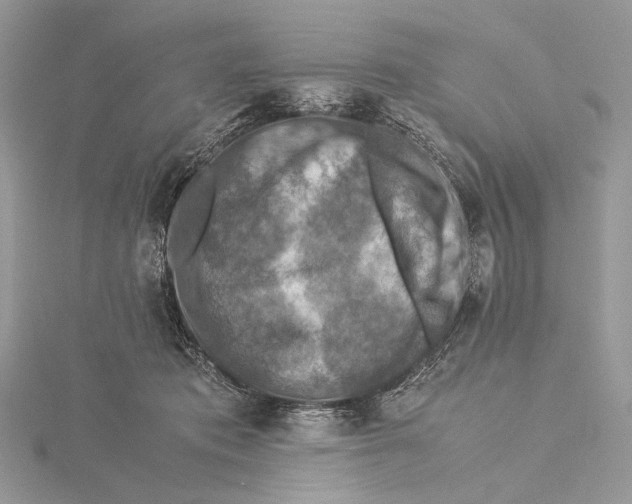 X0000115540413200912041015