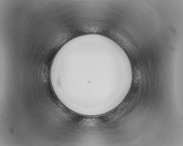 X0000115540414200912041015