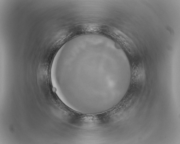 X0000115540415200912041015