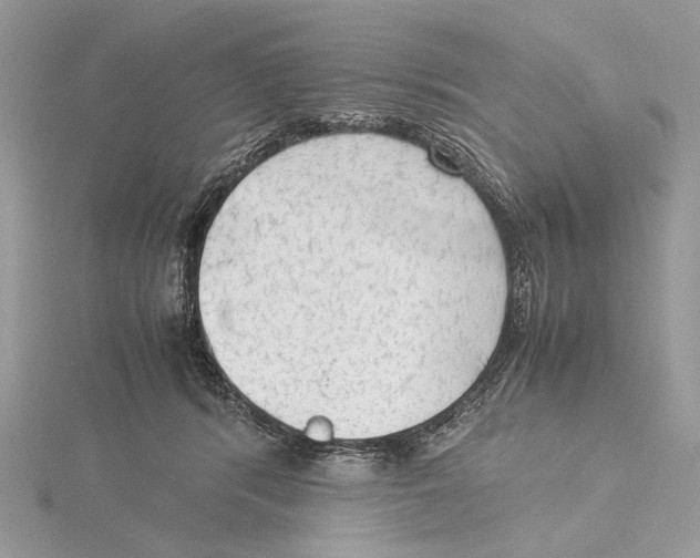 X0000115540416200912041015