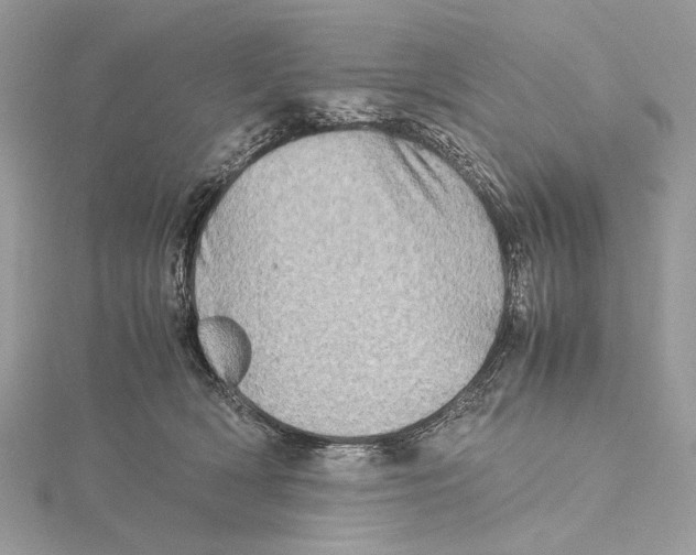 X0000115540418200912041015