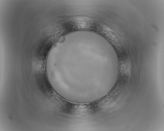 X0000115540419200912041015