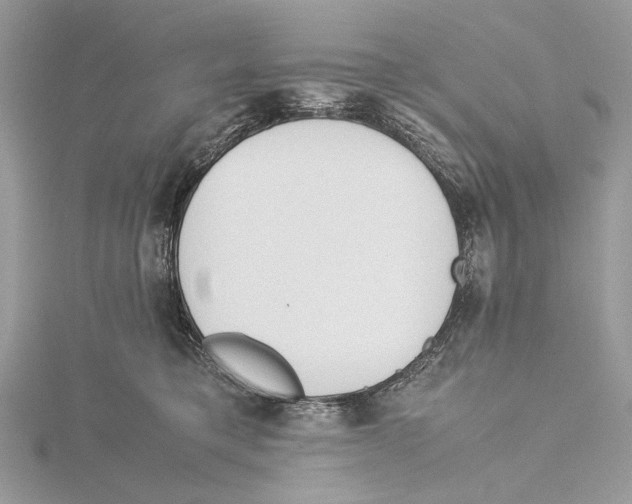 X0000115540421200912041015