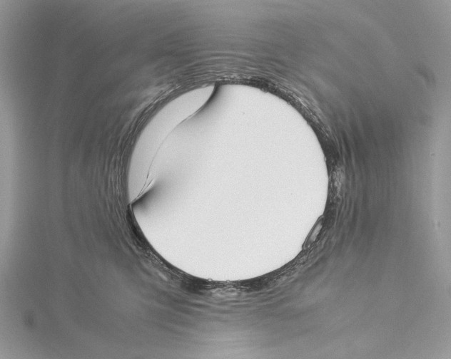 X0000115540423200912041015