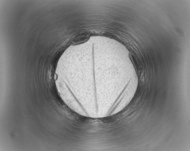 X0000115540424200912041015