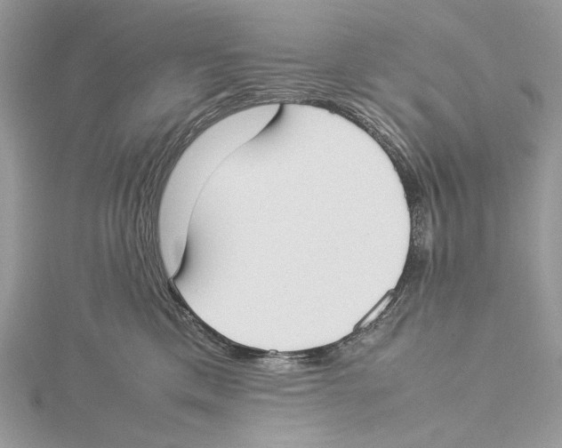 X0000115540425200912041015