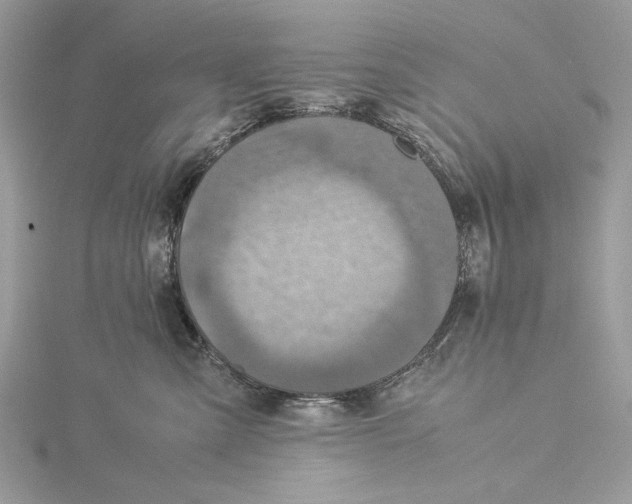 X0000115540427200912041015