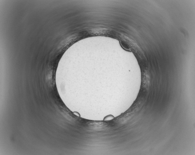 X0000115540428200912041015