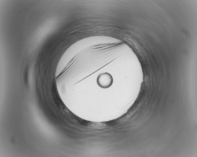 X0000115540429200912041015