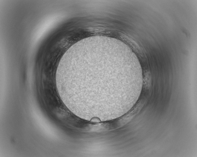 X0000115540430200912041015