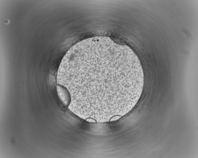 X0000115540432200912041014