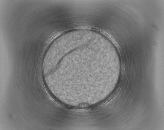 X0000115540433200912041014